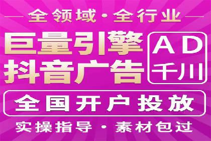 专业SEM服务公司案例分析报告